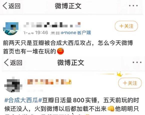 热门大瓜在线,热门大瓜事件全解析