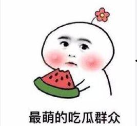 吃瓜有理报料无罪,揭秘网络舆论背后的真相